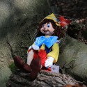 Pinnocchio