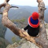 The Little Mole, bobble hat, 20 cm