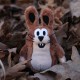 Hare, finger puppet, 10 cm