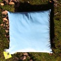 Pillow 30x30 cm Train